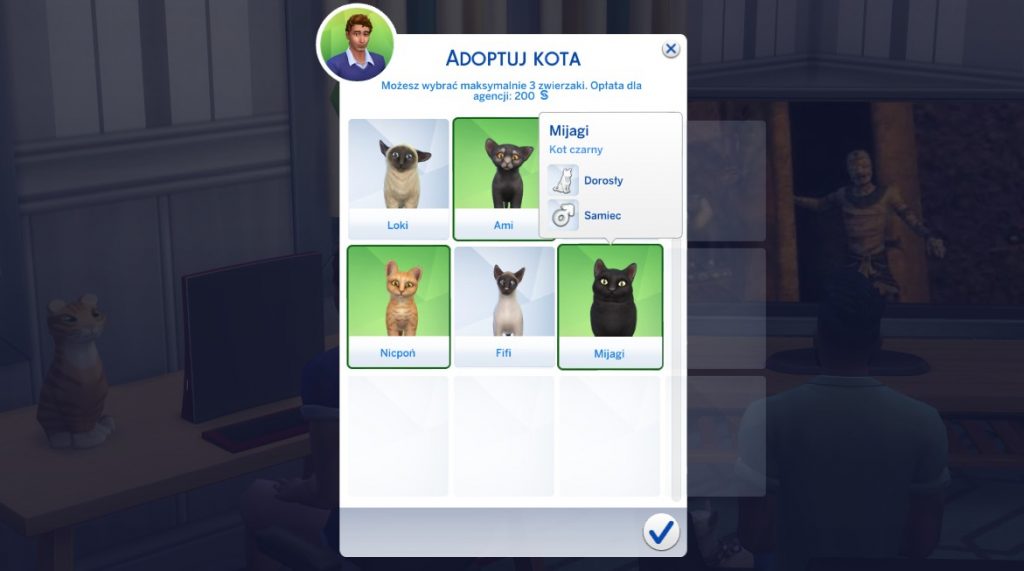 Adopcja kota w The Sims 4