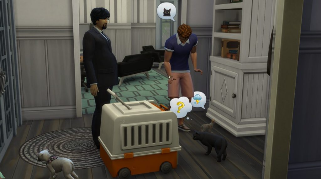 Adoptowanie kota w The Sims 4