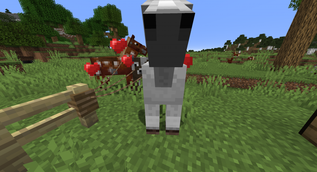 jak rozmnożyć konie w MC? Jak rozmnożyć konie w Minecraft?