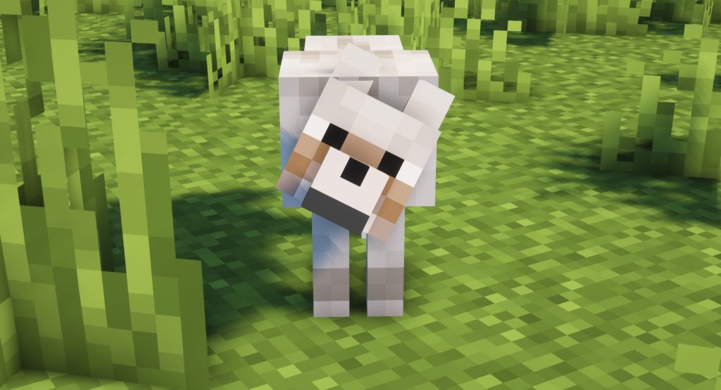 Różnice pomiędzy psem a wilkiem w Minecraft