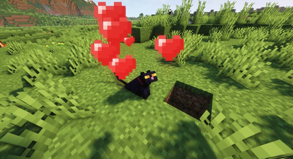 Jak oswoić kota w Minecraft? Oswojony kot Minecraft