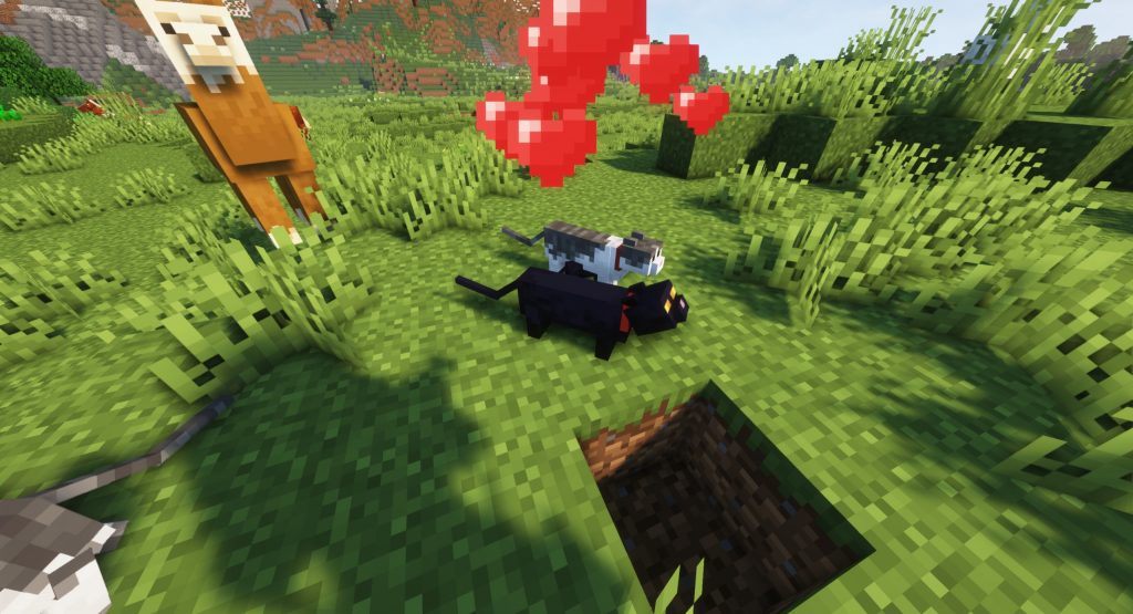 Rozmnażanie kota w Minecraft Jak rozmnożyć kota w Minecraft
