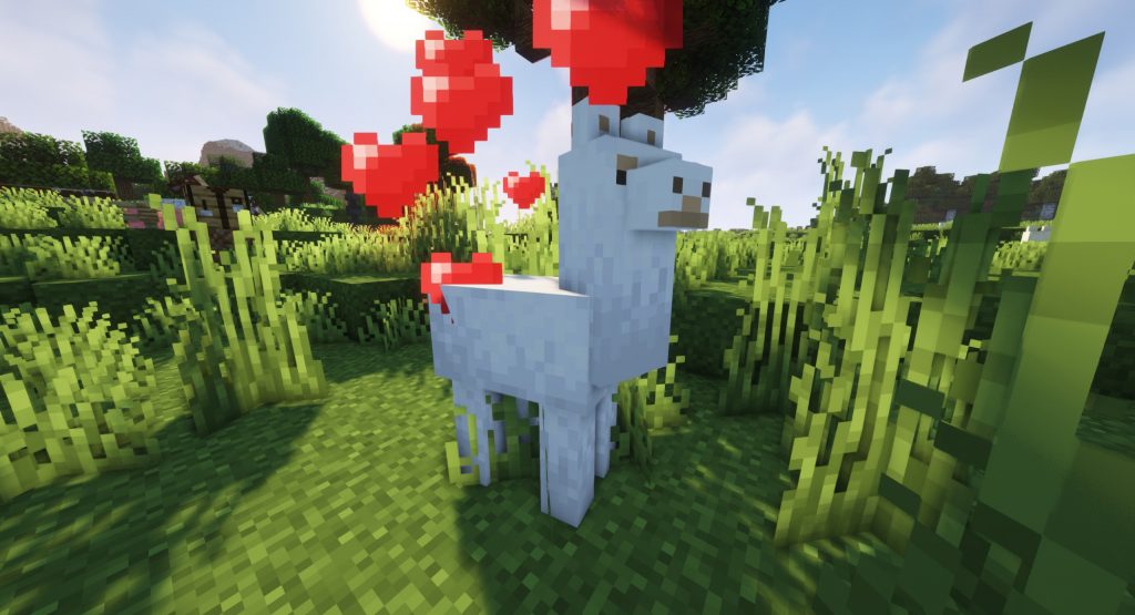 Lama Miniecraft w trybie miłości