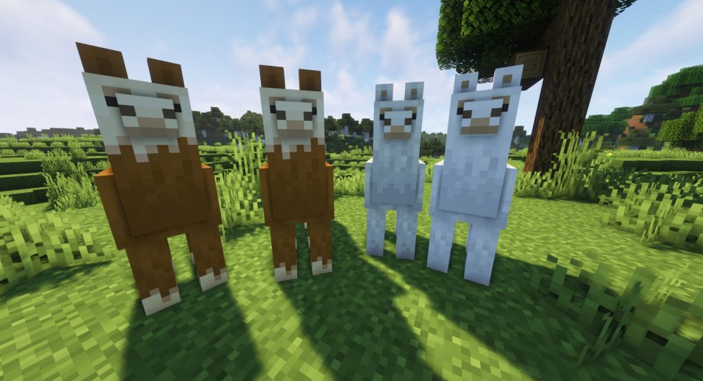 Hodowla lam Minecraft
