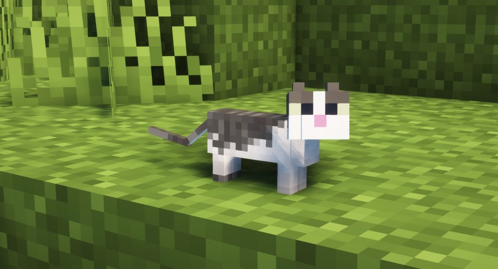 Jak rozmnożyć koty? Mały kotek Minecraft Mały kotek Minecraft