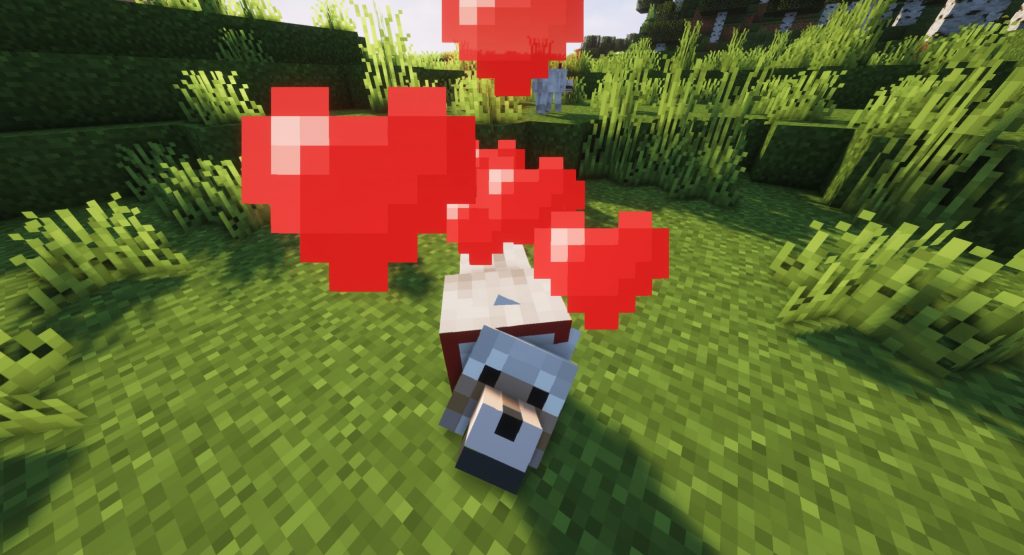 Oswajanie wilka Minecraft