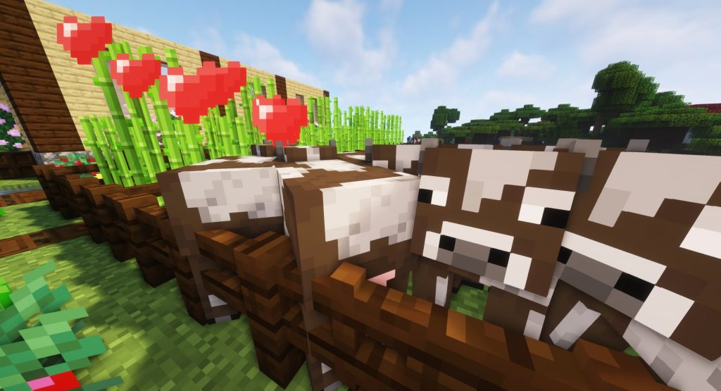 Rozmnażanie krów Minecraft