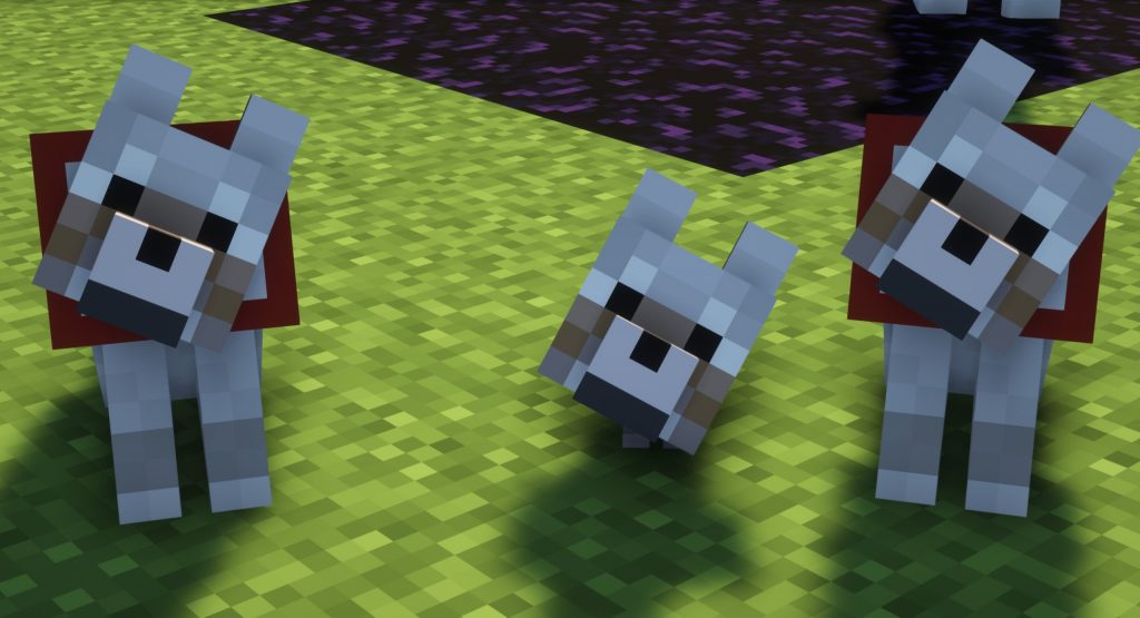 Wspólne cechy wilków Minecraft