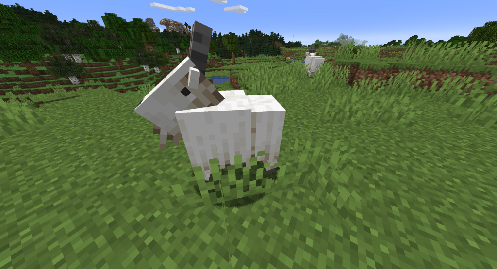 Minecraft - koza, przydatne informacje