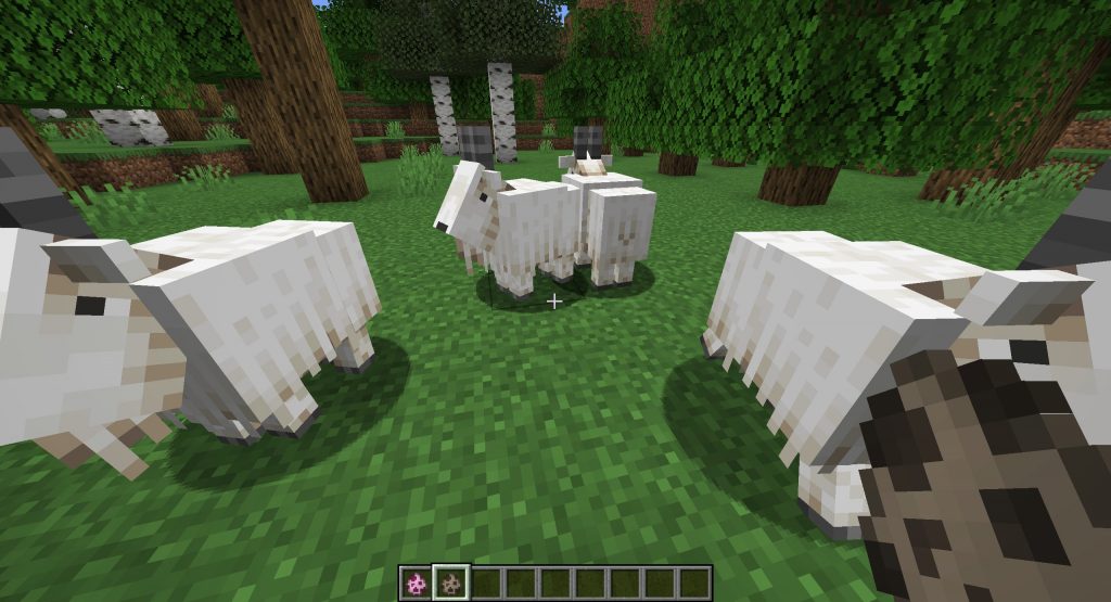 Nowe moby - kozy Minecraft kozy Minecraft - nowe moby w grze