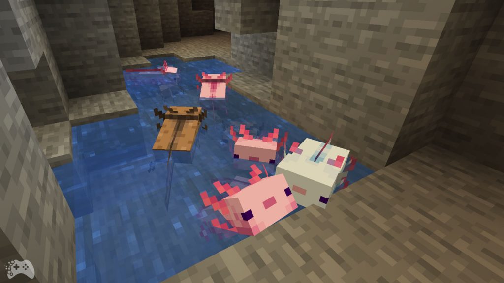 Aksolotle Minecraft 1.17