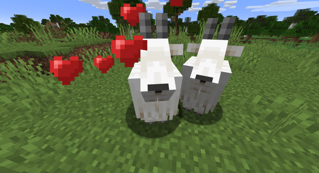 Rozmnażanie kóz w Minecraft