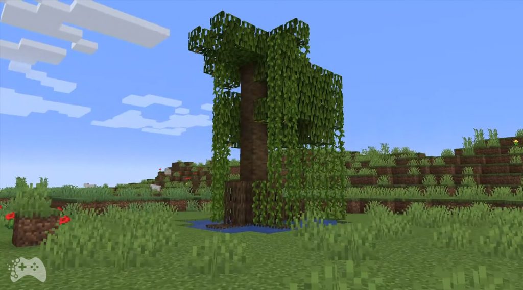 Minecraft The Wild Update - Mangrowce Mangrowce - nowe drzew w Minecraft
