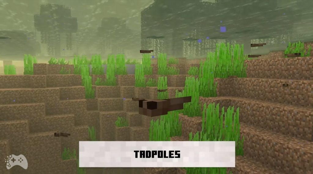 Kijanki w Minecraft 1.19
