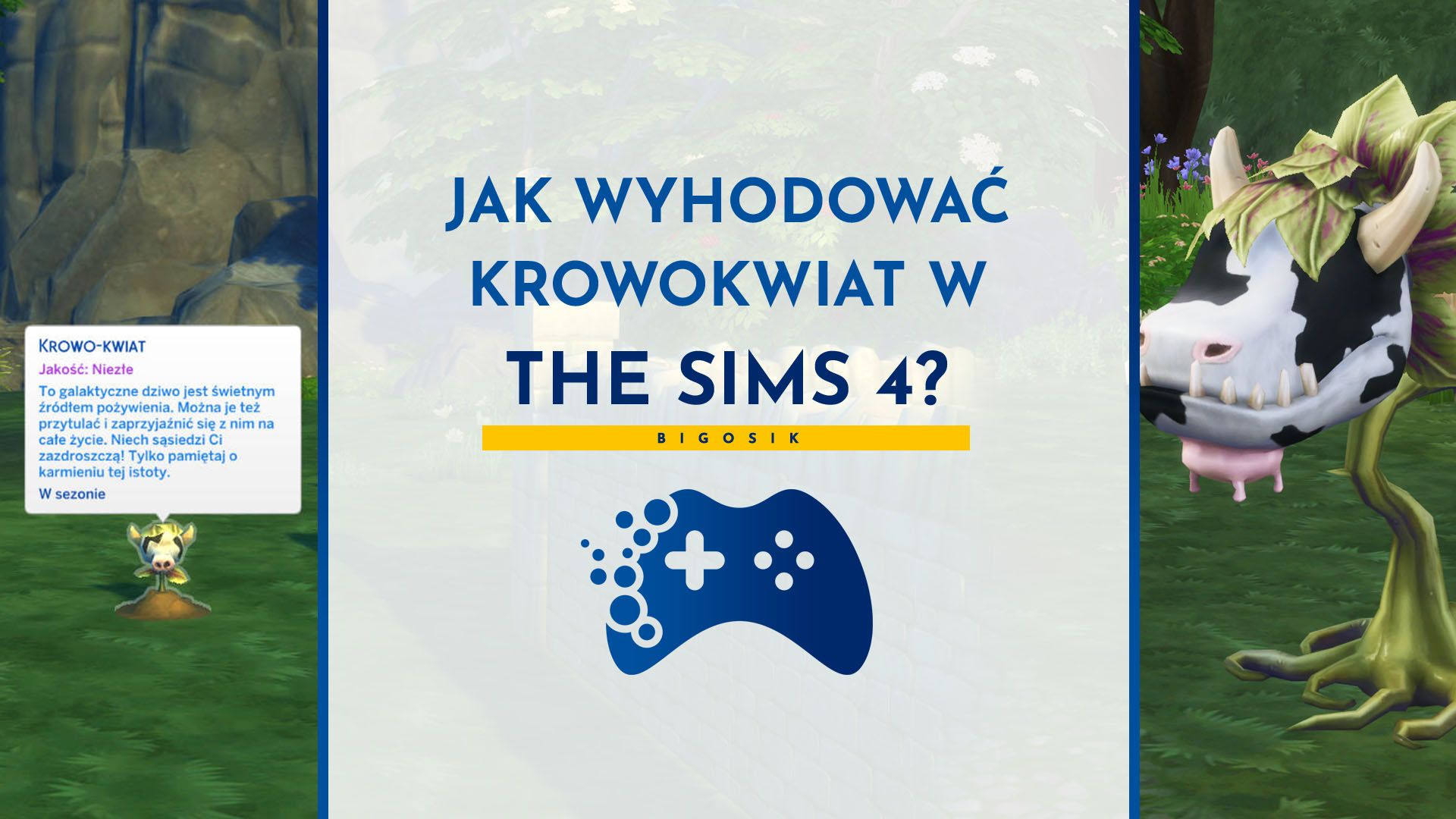 jak wyhodować krowokwiat w the sims 4