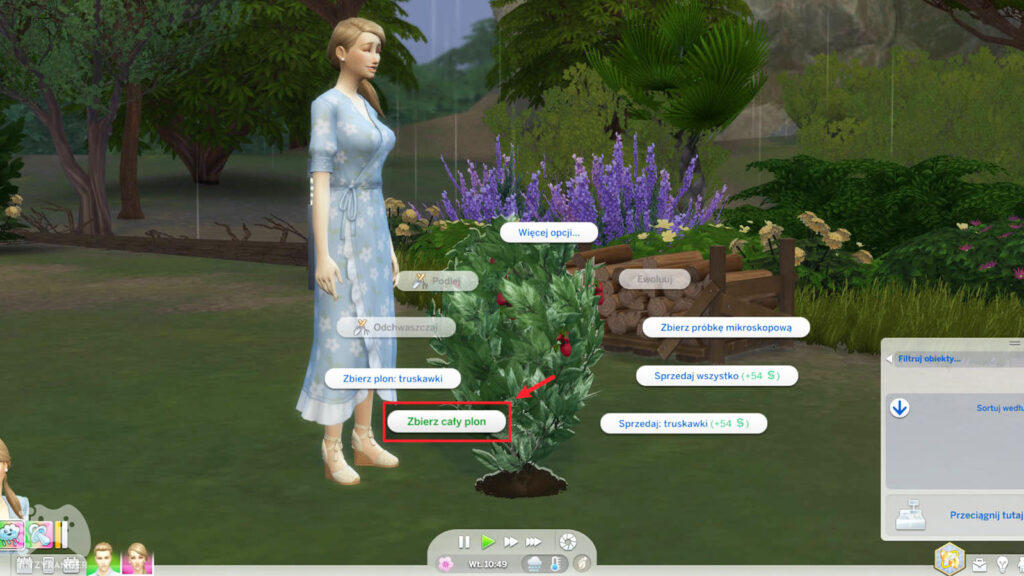 the sims 4 co zrobić żeby urodziła się dziewczynka