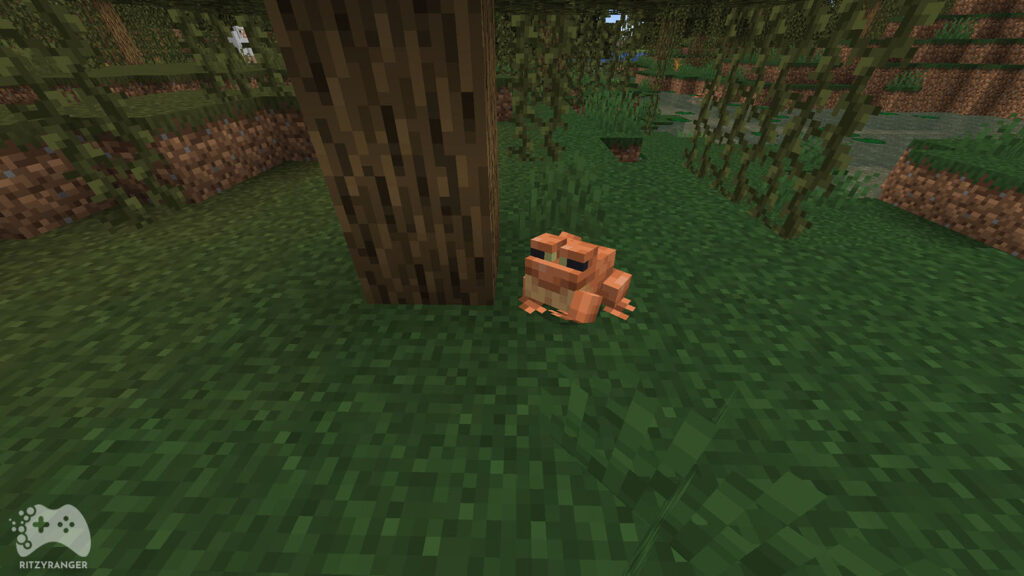 żaby i kijanki Minecraft