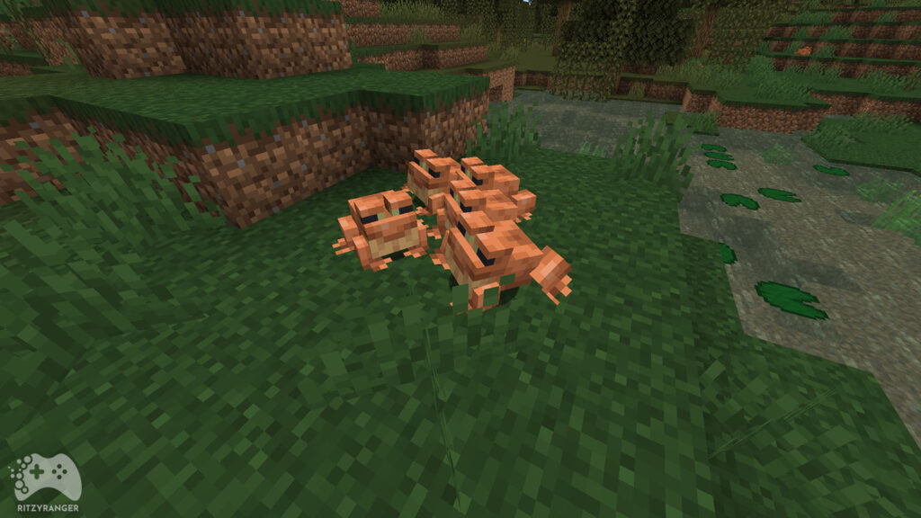 Żaby Minecraft