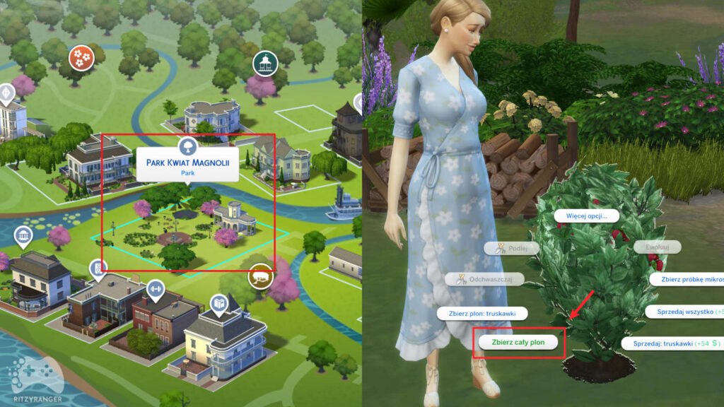 gdzie można znaleźć truskawki w the sims 4