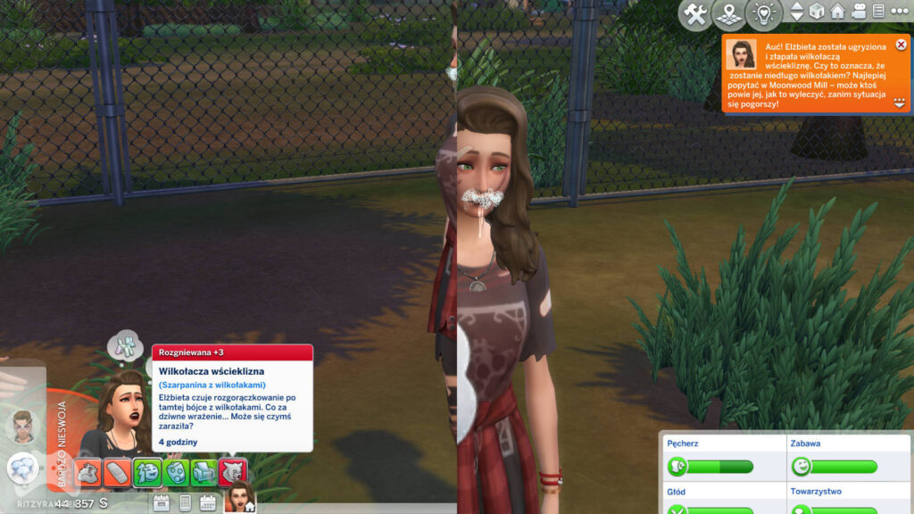 Wilkołacza wścieklizna The Sims 4