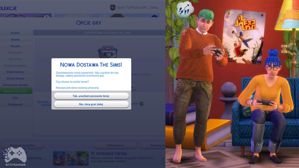 plakat It Takes Two listopad ekspresowa dostawa the sims 4