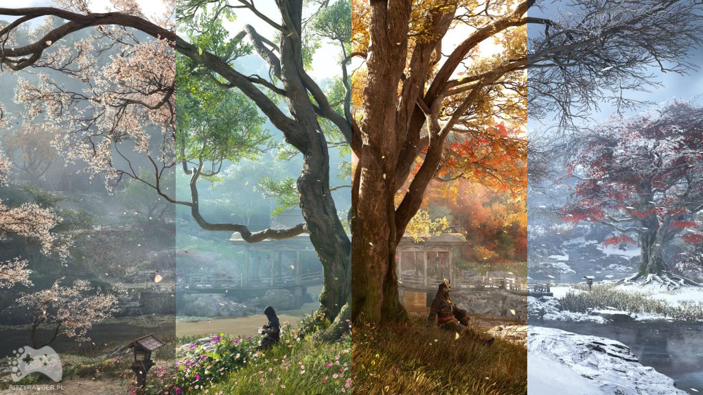 AC: Shadow - mail Ubisoftu