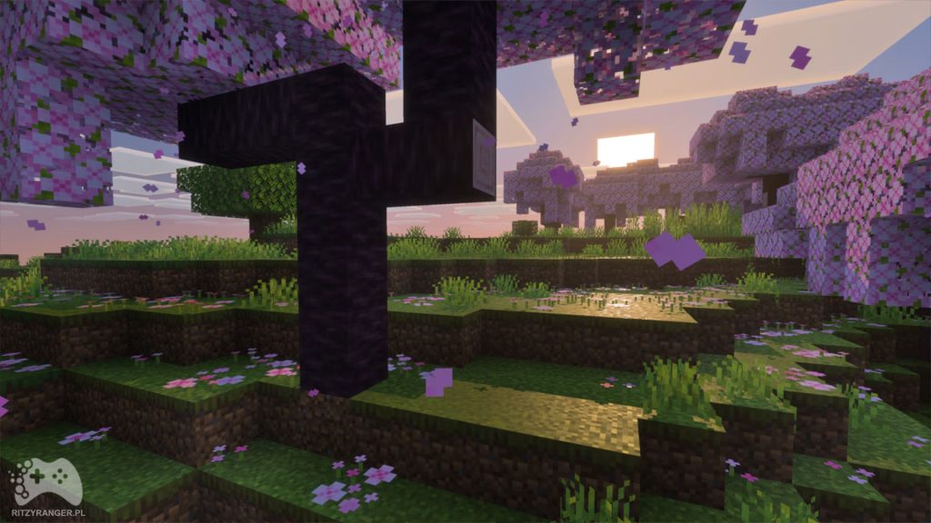 Minecrafta: czym są Vibrant Visuals