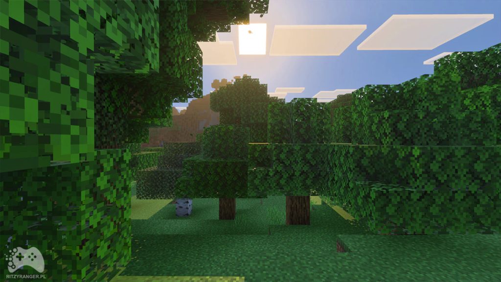 Minecraft Vibrant Visuals